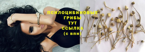 амфетамин Абинск