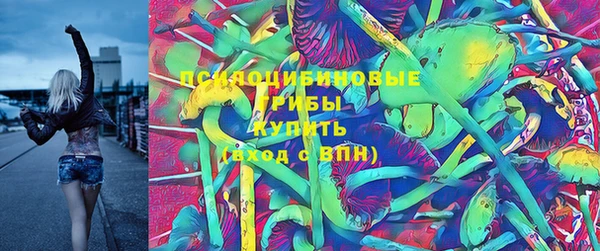 соль ск Абдулино