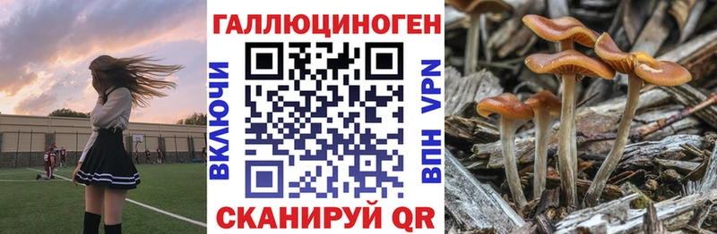 Псилоцибиновые грибы Psilocybe  Кострома 